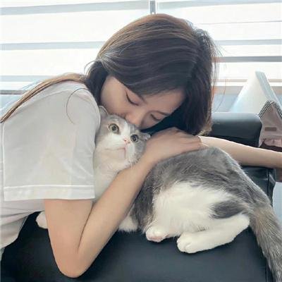 企鹅之岛:福克兰