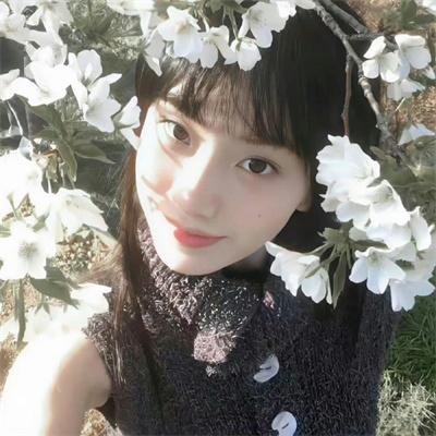 蠢狗记